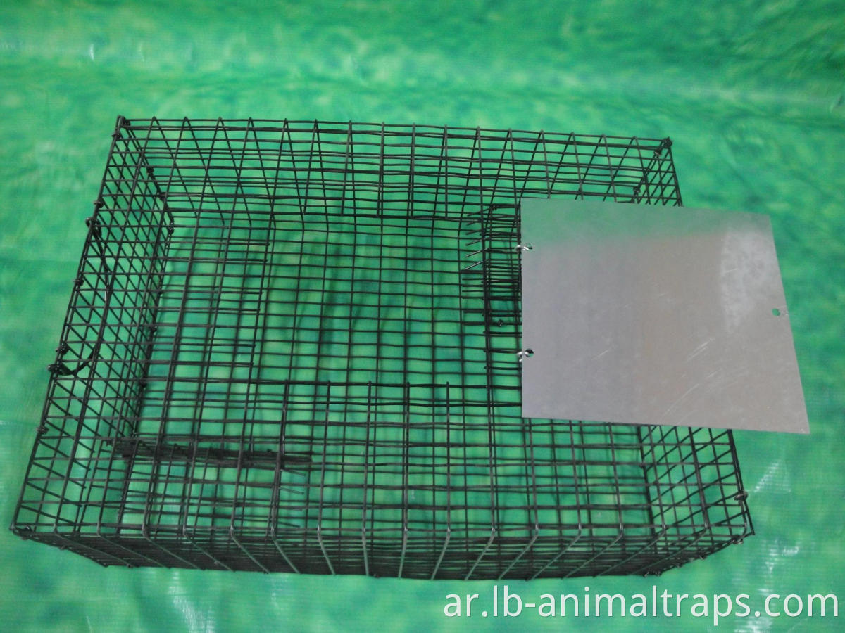 Animal Trap Cage For Sale